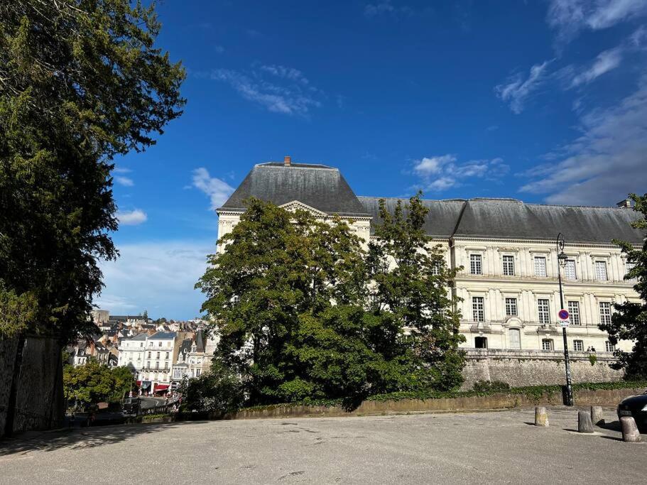 T2 Proche Du Chateau De Blois Luaran gambar